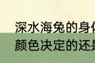 深水海兔的身体颜色是由所食海藻的颜色决定的还是与父母颜色相同