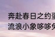 奔赴春日之约蛋仔派对典藏盲盒外观流浪小象哆哆免费获取