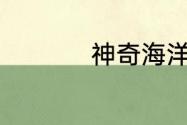 神奇海洋今日答案6.9