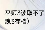 巫师3读取不了存档怎么办？（孤岛惊魂3存档）