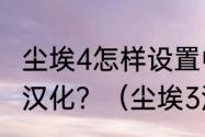 尘埃4怎样设置中文,尘埃4汉化版怎么汉化？（尘埃3汉化补丁）