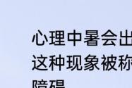 心理中暑会出现情绪认知和行为异常这种现象被称为易怒症还是夏季情感障碍