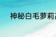 神秘白毛萝莉高冷御姐刺客亮相