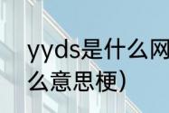 yyds是什么网络用语？（yyds是什么意思梗）