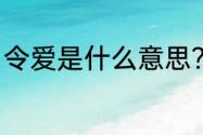 令爱是什么意思？（令爱是什么意思）