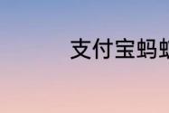 支付宝蚂蚁新村6.3答案