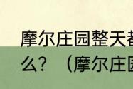 摩尔庄园整天都是晴天传说鱼能钓什么？（摩尔庄园传说鱼）