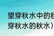 望穿秋水中的秋水是什么意思？（望穿秋水的秋水）