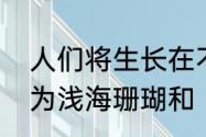 人们将生长在不同海域位置的珊瑚分为浅海珊瑚和