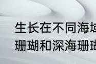 生长在不同海域位置的珊瑚分为浅海珊瑚和深海珊瑚吗