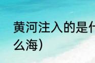 黄河注入的是什么海？（黄河注入什么海）