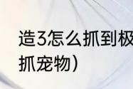 造3怎么抓到极品宠物？（造梦3怎么抓宠物）