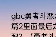 gbc勇者斗恶龙4又名勇者斗恶龙怪兽篇2里面最后龙王，坏仔，金属王怎么配？（勇者斗恶龙怪兽篇）