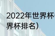 2022年世界杯各队排名？（卡塔尔世界杯排名）