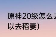 原神20级怎么去稻妻城？（多少级可以去稻妻）