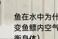 鱼在水中为什么能上浮,下沉?怎样改变鱼鳔内空气的多少？（鱼靠什么平衡身体）