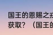 国王的恩赐之戎装公主裁决之刃怎么获取？（国王的恩赐戎装公主）