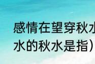 感情在望穿秋水什么意思？（望穿秋水的秋水是指）