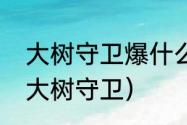 大树守卫爆什么装备？（艾尔登法环大树守卫）