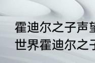 霍迪尔之子声望多少级能接？（魔兽世界霍迪尔之子）