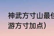 神武方寸山最佳加点？（梦幻西游手游方寸加点）