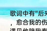 歌词中有“后来遇到他，陪我春秋冬夏，愈合我的伤疤”是什么歌曲？（后来遇见他陪我春秋冬夏）