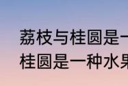 荔枝与桂圆是一种东西吗？（龙眼和桂圆是一种水果吗）