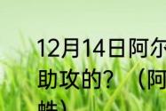 12月14日阿尔瓦雷斯第一个进球是谁助攻的？（阿尔瓦雷斯为什么叫小蜘蛛）