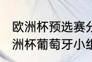 欧洲杯预选赛分组怎么出线（2016欧洲杯葡萄牙小组第三为什么能出线）