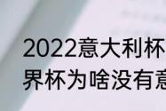 2022意大利杯冠军（2022卡塔尔世界杯为啥没有意大利）