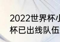 2022世界杯小组赛分组（2022世界杯已出线队伍有哪些）