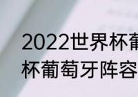 2022世界杯葡萄牙阵容（2014世界杯葡萄牙阵容）