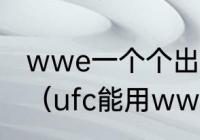 wwe一个个出场落地淘汰是什么比赛（ufc能用wwe招数吗）