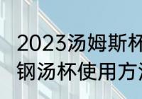 2023汤姆斯杯决赛是哪两个队（不锈钢汤杯使用方法）