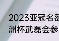 2023亚冠名额怎么分配（2023年亚洲杯武磊会参加吗）