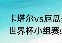 卡塔尔vs厄瓜多尔历史战绩（卡塔尔世界杯小组赛必看的比赛）