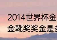 2014世界杯金靴奖得主是谁（世界杯金靴奖奖金是多少）