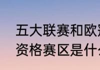 五大联赛和欧冠有什么区别（欧协联资格赛区是什么）