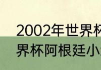 2002年世界杯阿根廷战绩（2002世界杯阿根廷小组赛成绩）