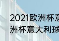 2021欧洲杯意大利阵容（2008年欧洲杯意大利球员阵容）