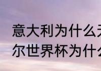 意大利为什么无缘2022世界杯（卡塔尔世界杯为什么没有意大利队）