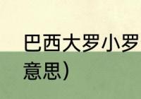 巴西大罗小罗分别是谁（罗纳尔多的意思）