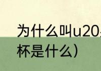 为什么叫u20男足亚洲杯（U20亚洲杯是什么）