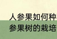 人参果如何种植（人参果怎么种植人参果树的栽培方法）