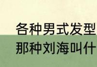 各种男式发型名称（大部分男生剪的那种刘海叫什么名字）