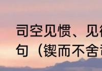 司空见惯、见微知著、无独有偶的造句（锲而不舍司空见惯造句）