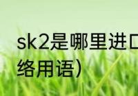 sk2是哪里进口的（sk2是什么意思网络用语）