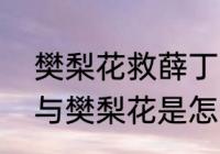 樊梨花救薛丁山是什么含义（薛丁山与樊梨花是怎么合好）