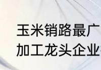 玉米销路最广能深加工什么（玉米深加工龙头企业排名）