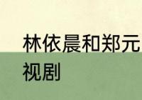 林依晨和郑元畅总共合作了多少部电视剧